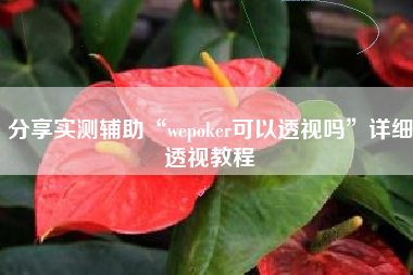 分享实测辅助“wepoker可以透视吗”详细透视教程