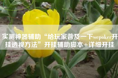 实测神器辅助“给玩家普及一下wepoker开挂透视方法	”开挂辅助脚本+详细开挂