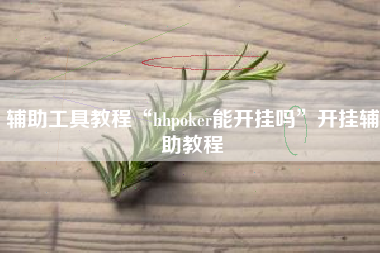 辅助工具教程“hhpoker能开挂吗”开挂辅助教程