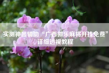 实测神器辅助“广西微乐麻将开挂免费	”详细透视教程