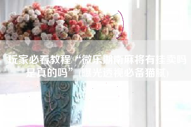 玩家必看教程“微乐湖南麻将有挂卖吗是真的吗	”(曝光透视必备猫腻)