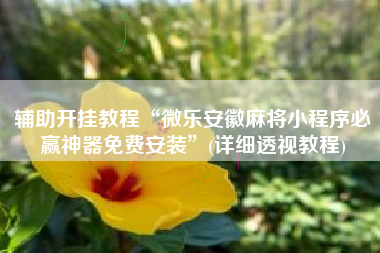 辅助开挂教程“微乐安徽麻将小程序必赢神器免费安装”(详细透视教程)