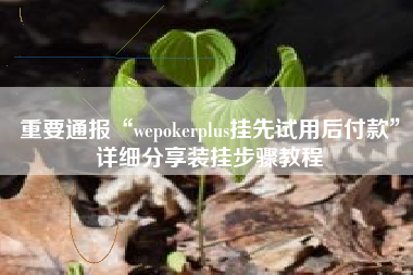 重要通报“wepokerplus挂先试用后付款”详细分享装挂步骤教程