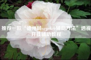 推荐一款“德州局wepoker辅助方法	”透视开挂辅助教程