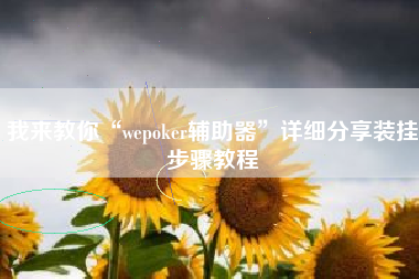 我来教你“wepoker辅助器	”详细分享装挂步骤教程