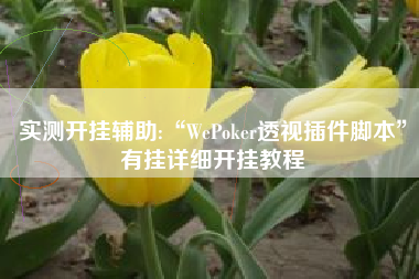 实测开挂辅助:“WePoker透视插件脚本”有挂详细开挂教程