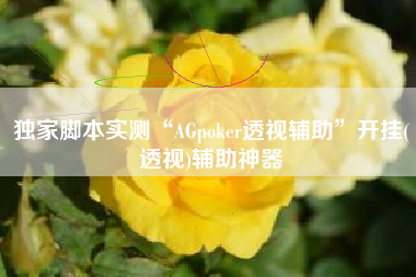 独家脚本实测“AGpoker透视辅助	”开挂(透视)辅助神器
