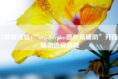 [教程经验]“wepokerplus德州局辅助”开挂辅助透视教程