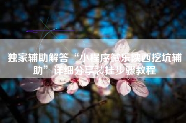 独家辅助解答“小程序微乐陕西挖坑辅助”详细分享装挂步骤教程