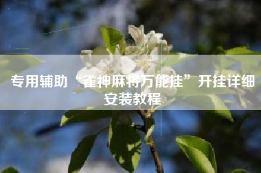 专用辅助“雀神麻将万能挂”开挂详细安装教程