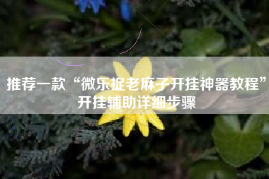 推荐一款“微乐捉老麻子开挂神器教程”开挂辅助详细步骤