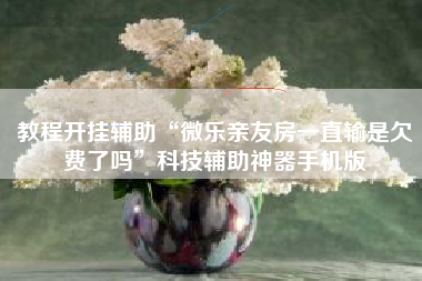 教程开挂辅助“微乐亲友房一直输是欠费了吗	”科技辅助神器手机版