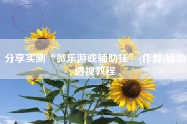 分享实测“微乐游戏辅助挂”(作弊)辅助透视教程
