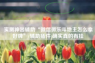 实测神器辅助“微信微乐斗地主怎么拿好牌	”(辅助插件)确实真的有挂