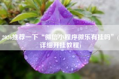 2026推荐一下“微信小程序微乐有挂吗”(详细开挂教程)