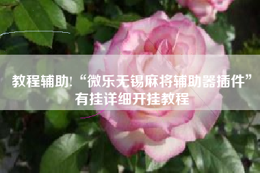 教程辅助!“微乐无锡麻将辅助器插件”有挂详细开挂教程