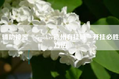 辅助神器“wepoker德州有挂吗”开挂必胜方法