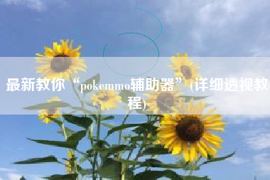 最新教你“pokemmo辅助器	”(详细透视教程)