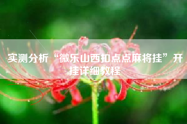 实测分析“微乐山西扣点点麻将挂”开挂详细教程