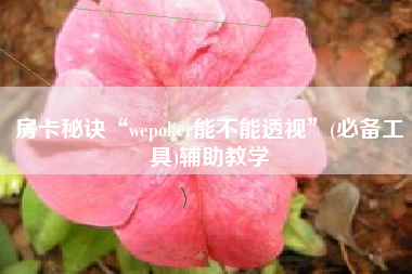 房卡秘诀“wepoker能不能透视”(必备工具)辅助教学