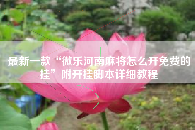 最新一款“微乐河南麻将怎么开免费的挂”附开挂脚本详细教程