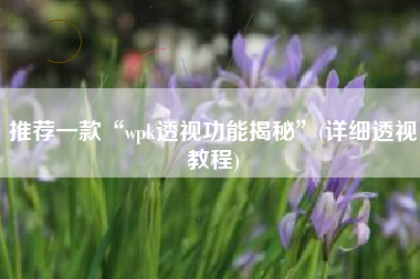 推荐一款“wpk透视功能揭秘	”(详细透视教程)