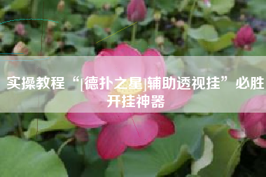 实操教程“[德扑之星]辅助透视挂	”必胜开挂神器