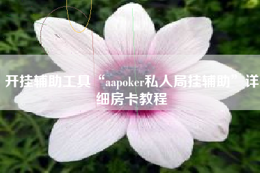 开挂辅助工具“aapoker私人局挂辅助”详细房卡教程