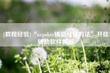 [教程经验]“wepoker辅助开挂方法”开挂辅助软件教程