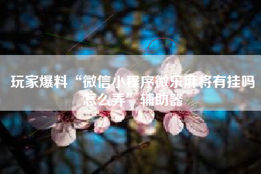 玩家爆料“微信小程序微乐麻将有挂吗怎么弄	”辅助器