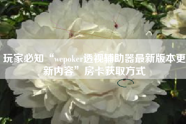 玩家必知“wepoker透视辅助器最新版本更新内容”房卡获取方式