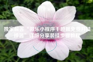 独家解答“微乐小程序干瞪眼免费开挂神器”详细分享装挂步骤教程