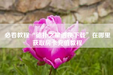 必看教程“德扑之星透视下载”在哪里获取房卡充值教程