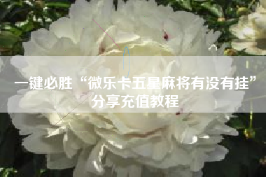 一键必胜“微乐卡五星麻将有没有挂”分享充值教程