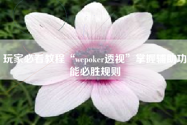 玩家必看教程“wepoker透视	”掌握辅助功能必胜规则