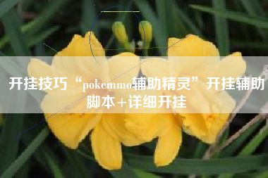 开挂技巧“pokemmo辅助精灵”开挂辅助脚本+详细开挂