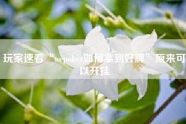 玩家速看“wepoker如何拿到好牌”原来可以开挂