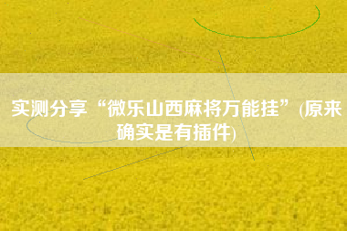 实测分享“微乐山西麻将万能挂	”(原来确实是有插件)