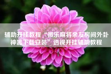 辅助开挂教程“微乐麻将亲友房间外卦神器下载安装”透视开挂辅助教程