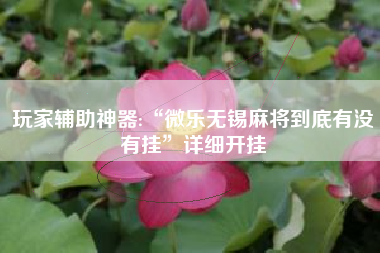 玩家辅助神器:“微乐无锡麻将到底有没有挂	”详细开挂