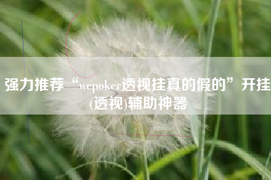 强力推荐“wepoker透视挂真的假的	”开挂(透视)辅助神器