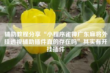 辅助教程分享“小程序雀神广东麻将外挂透视辅助插件真的存在吗	”其实有开挂插件