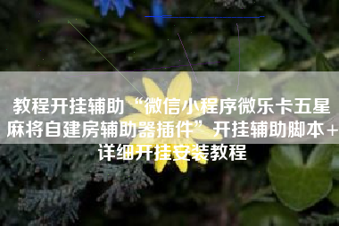 教程开挂辅助“微信小程序微乐卡五星麻将自建房辅助器插件	”开挂辅助脚本+详细开挂安装教程