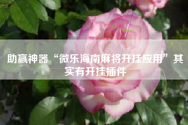 助赢神器“微乐海南麻将开挂应用	”其实有开挂插件