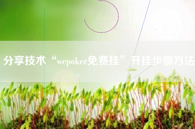 分享技术“wepoker免费挂”开挂步骤方法