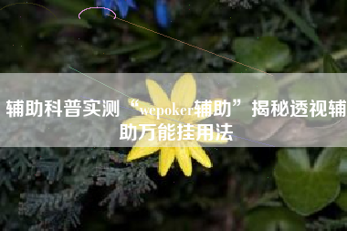 辅助科普实测“wepoker辅助	”揭秘透视辅助万能挂用法
