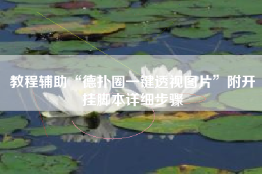 教程辅助“德扑圈一键透视图片	”附开挂脚本详细步骤