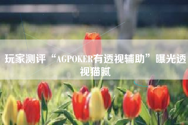 玩家测评“AGPOKER有透视辅助”曝光透视猫腻
