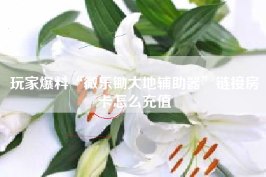 玩家爆料“微乐锄大地辅助器”链接房卡怎么充值