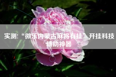 实测!“微乐内蒙古麻将有挂”开挂科技辅助神器